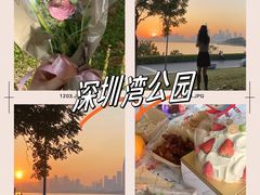 -深圳湾公园(南山区)