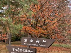 -京都御所