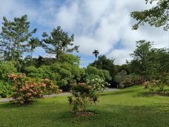 -中国科学院西双版纳热带植物园