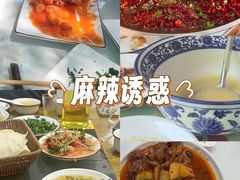 -秦扬居特色菜馆(上王村)