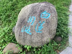 -八大山人梅湖景区