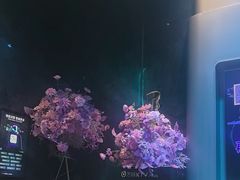 -方糖KTV-PLUS(世茂广场店)