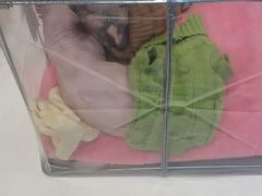 -清真西北风味餐厅