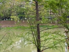 -怡海公园(桂城街道)