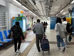 -中环5号码头