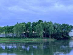 -贡湖湾湿地公园