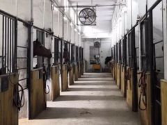 -枫露马术学院(藏书校区)