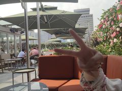 -城市露台景观餐厅(淮海路店)