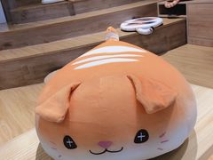 -啵啵喵·猫咖(攀华国际店)