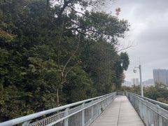 -佛山华盖山公园