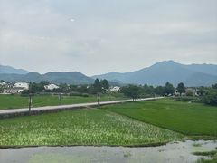 -黄牛肉馆·皖南土菜
