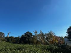 -兴福老面馆(寺路街店)