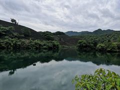 -龙坞茶村
