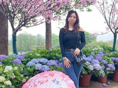-天适樱花悠乐园
