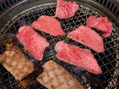 -和牛放题的殿堂 肉屋横丁(秋叶原店)