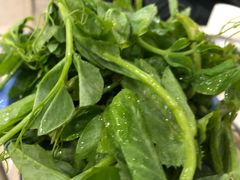 -蜀皇·菌汤鲜黄牛肉汤锅(宽窄巷子店)