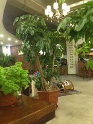 点击看大图 iphone_upload_pic-重道造型