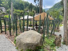 -MOJ coffee(瓯海泽雅水碓坑店)