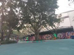-广州长隆国际大马戏