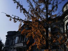 -旅顺博物馆