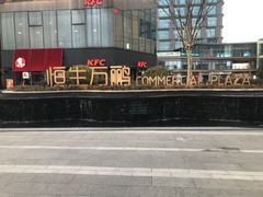 -恒生万鹂广场(唐镇店)