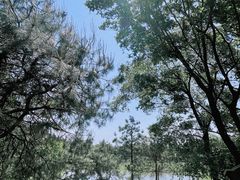 -南京市无想山景区