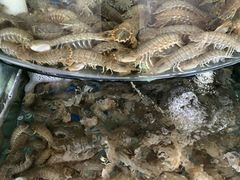 -沿海渔家院海鲜烧烤·东北菜(东戴河店)