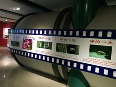 -上海昆虫博物馆