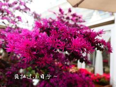 -功德林(南京西路店)