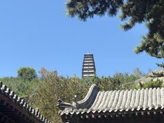 -雁门关景区