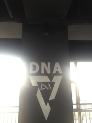 教室-DNA舞室