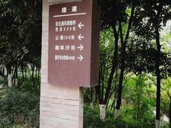-重庆彩云湖湿地公园