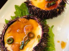 海胆蒸蛋-小渔船渔家传统菜(鲅鱼圈店)