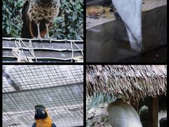 -黔灵山公园