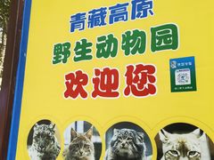 -青藏高原野生动物园