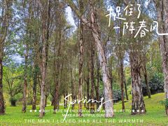 -福建鲤鱼洲酒店