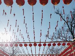 -北京凤凰岭