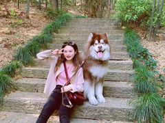 -杭州半山国家森林公园