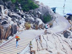 -广东惠东海龟国家级自然保护区