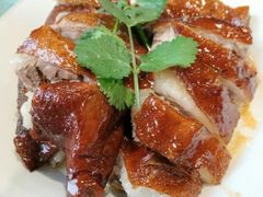 -椿记烧鹅(叠彩店)