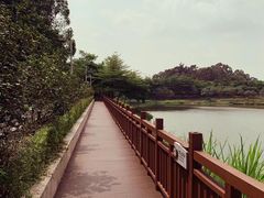 -广东花都湖国家湿地公园