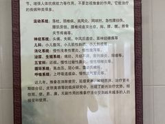 -上海市嘉定区中医医院