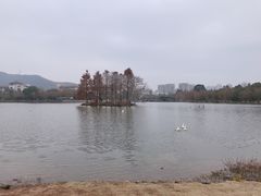 -浙江农林大学(东湖校区)