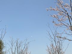-苏州湾体育公园
