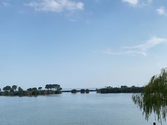 -合肥滨湖国家森林公园