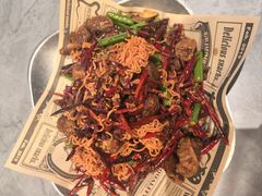 -鼎原力量东北吊炉烧烤(幸福街店)