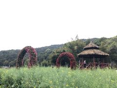 -广州市石门国家森林公园