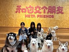 -和它·交个朋友·狗咖猫咖(爱琴海店)
