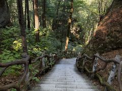 -汤旺河林海奇石景区
