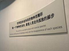 -重庆自然博物馆(新馆)